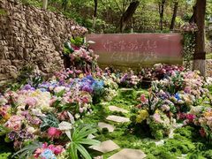 -云丘山景区