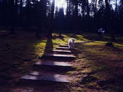 -硗碛藏寨·神木垒景区