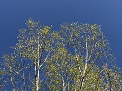 -仙居谷风景区