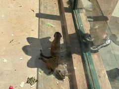 -秦皇岛野生动物园