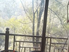-巴倒烫陆派火锅山庄(南山总店)