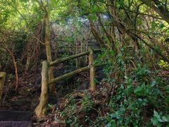 -海口火山口国家地质公园