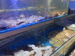 -四海蒸鲜蒸汽海鲜自助(北戴河店)