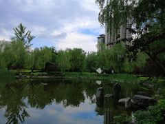 -木塔寺遗址生态公园