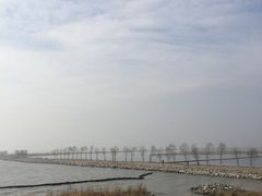 -合肥滨湖国家森林公园