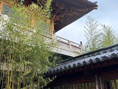 -秦岭风景区