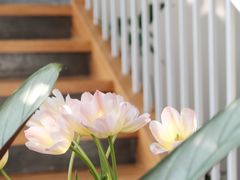 -隹木咖啡馆(宝龙广场店)