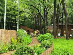 -同里国家湿地公园