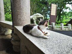 -南华禅寺