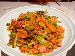 -阿五黄河大鲤鱼(纬三路店)