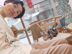 -猫咪派对(江南西店)
