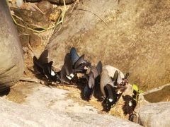 -广州白江湖森林公园