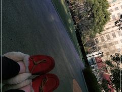 -徐家汇源景区-衡山公园