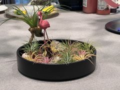 -虹御轩·传承江浙菜(虹桥店)