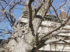 -北京石刻艺术博物馆(五塔寺)