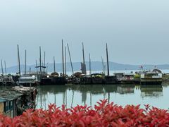 -太湖面馆十八浇(渔港路店)