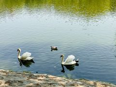 -石家庄市动物园