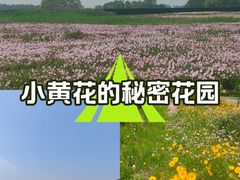 -贡湖湾湿地公园