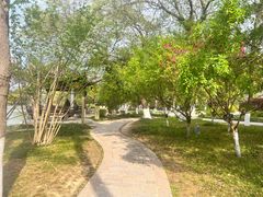 -江心屿景区