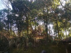 -千岛湖东南湖区