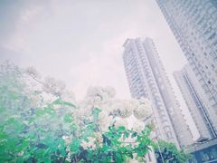 -大龙山(地铁站)