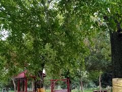 -武汉紫薇都市田园