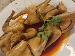-百利鸽王(紫薇路店)