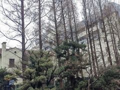-兰溪青年公园