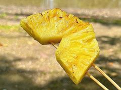 -上海滨江森林公园
