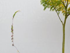 -金庸书院