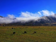 -贡嘎雪山