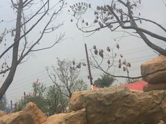 -苏州乐园森林水世界