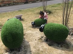 -菊园百果园