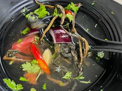 -金螃蟹