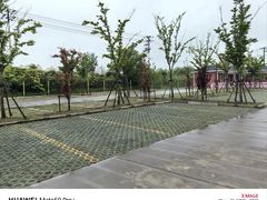 -长兴对江渡客运站