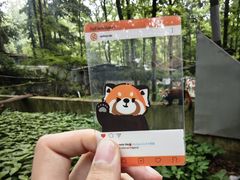 -荆州中山公园动物园