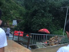 -清泉湾生态旅游度假区