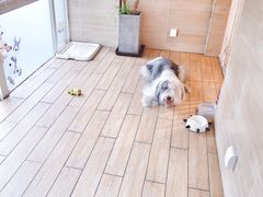 -Double Rui宠物酒店