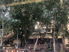 -添好运点心专门店(北角店)