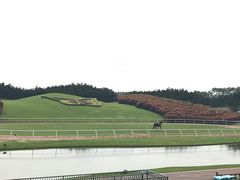 -迪茵湖田家舍生态农场
