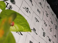 -诗宇时光茶艺书法古琴培训