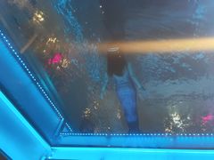 -重庆解放碑威斯汀酒店