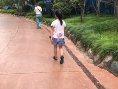-杭州乐园