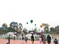 -黄龙溪欢乐田园