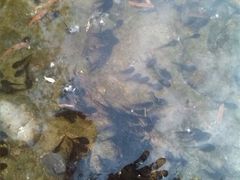 iphone_upload_pic-木塔寺遗址生态公园