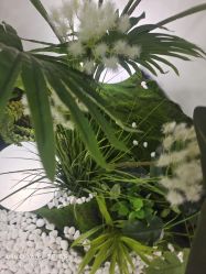 -HEYAN荷妍专业脱毛连锁机构