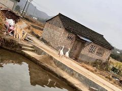 -黟县屏山村