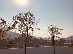 -白石龙音乐公园
