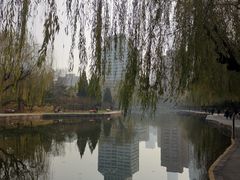 -团结湖公园