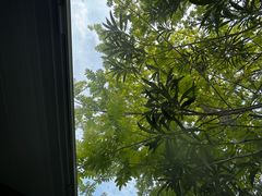 -盐官日光域房车营地·有盐餐厅
